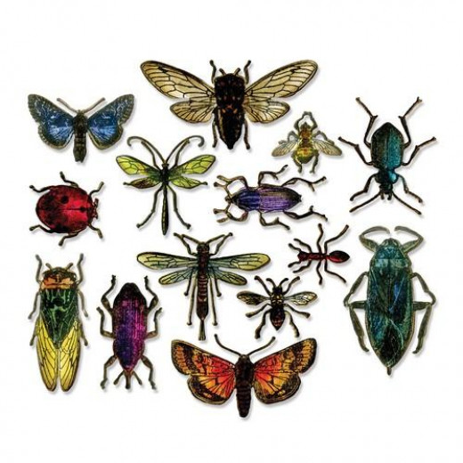 Framelits Die Set by Tim Holtz - Entomology