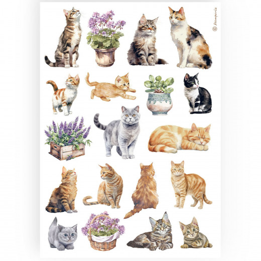 Stamperia Rice Paper - Cats