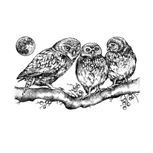 Unmounted Rubber Stamps - Owl Family