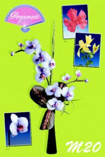 Motivmappe M20: Blumen in Pergament