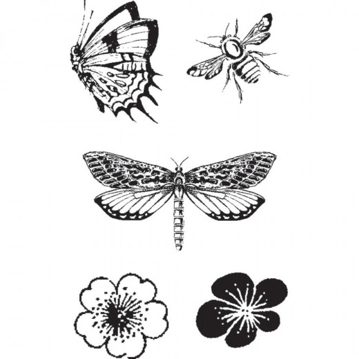Cling Stamps - Butterfly Specifics
