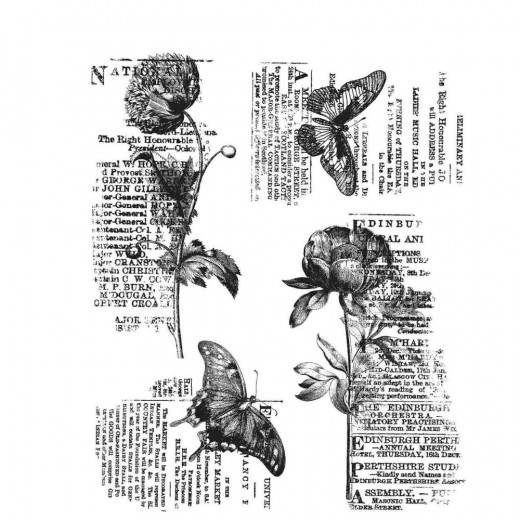 Cling Stamps Tim Holtz - Botanic Elements