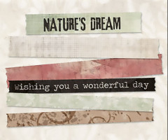Studio Light - Natures Dream Nr. 16 - Washi Tape - Wonderful Dreams