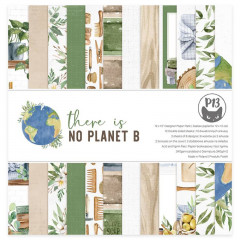 There is no planet B 12x12 Paper Pad