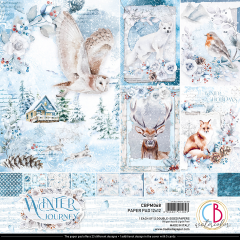 Winter Journey - 12x12 Paper Pad