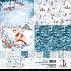 Winter Journey - 12x12 Pattern Pack