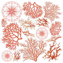 Coral Reef - 6x6 Vellum Fussy Cut Paper