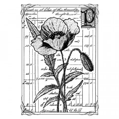 Unmounted Rubber Stamps - Pretty Poppy