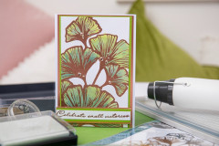Sizzix Clear Stamps by Stacey Park - Cosmopolitan - Inspire