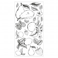 Sizzix - Clear Stamps by Lisa Jones - Botanical Fruit
