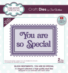 Craft Dies - Sue Wilson Block Sentiments You Are So Special