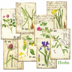 Herbs Mini Paper Pack