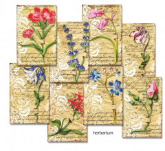 Herbarium Mini Paper Pack