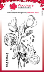Woodware Clear Stamps - Sweet Pea
