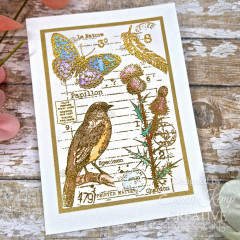 Woodware Clear Stamps - Nature Page