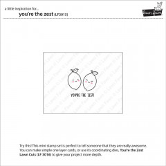 Clear Stamps - Youre The Zest