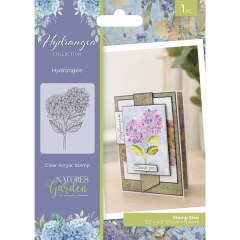 Clear Stamps - Hydrangea - Hydrangea