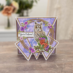 Clear Stamp & Cutting Die - Sheena Douglass - Garden Visitors - Youre a Hoot!