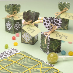 Shape Die - Giftbox Candygift