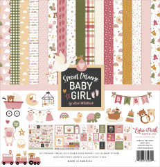Special Delivery: Baby Girl - 12x12 Collection Kit