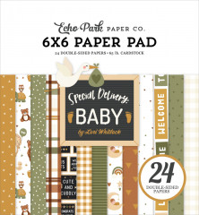 Special Delivery: Baby - 6x6 Paper Pad