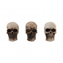 Idea-Ology - Halloween Skulls +  Bones