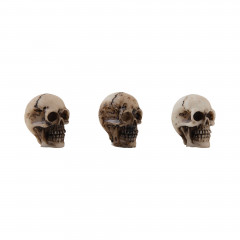 Idea-Ology - Halloween Skulls +  Bones