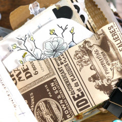 Clear Stamps - First Sights of Spring