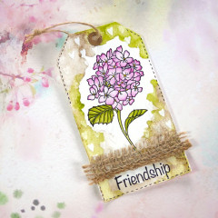 Clear Stamps - Friendship