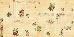 Fruit and Flora Ephemera Cards