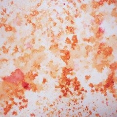 Cosmic Pixie Powder - Burnt Orange