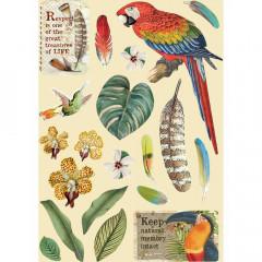 Colored Wooden Frame - Amazonia Parrot