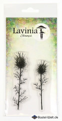 Lavinia Clear Stamps - Nigela Damascena