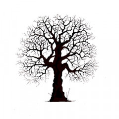 Lavinia Clear Stamps - Oak Tree