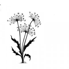 Lavinia Clear Stamps - Dandelions 2