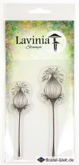 Lavinia Clear Stamps - Fairy Pods