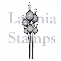 Lavinia Clear Stamps - Fairy Thistles