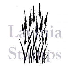 Lavinia Clear Stamps - Meadow Grass