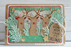 Clear Stamps - Christmas sentiments (Eng)