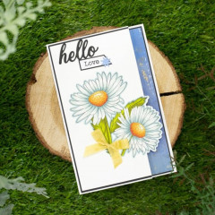 Clear Stamps and Cutting Die - Delightful Daisies Daisy Bloom