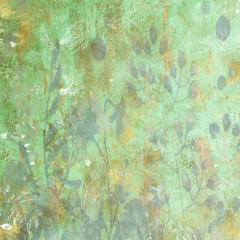 Natures Garden - Wildflower - 12x12 Paper Pad
