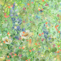 Natures Garden - Wildflower - 12x12 Paper Pad