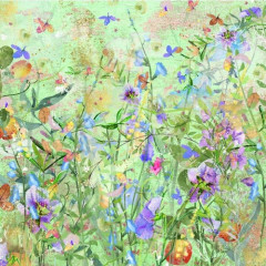 Natures Garden - Wildflower - 6x6 Paper Pad