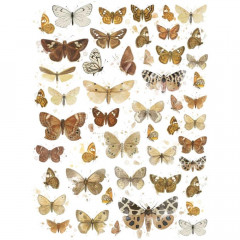 49 And Market Essential 6x8 Rub-Ons - Butterflies 01