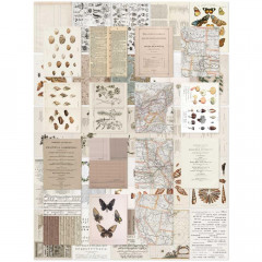 49 and Market - Color Swatch: Toast Collage Sheets 6x8