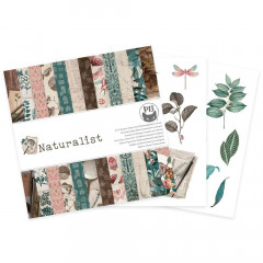 Naturalist - 6x6 Paper Pad