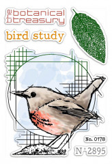 Clear Stamp Set - Bird Study
