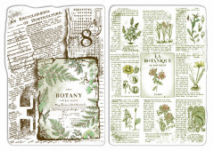 Clear Stamp Set - Botanical Horticulture
