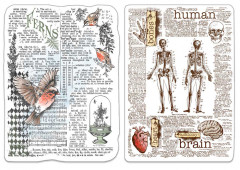 Clear Stamp Set - Human and Nature