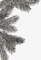 3D Embossing Folder - Pine Branches